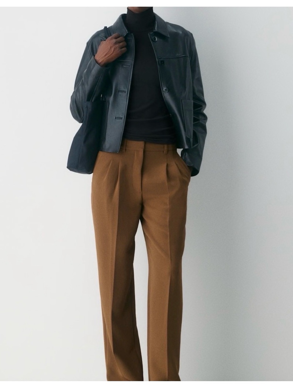 Aritzia Brown Pleated Trousers
